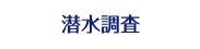 潜水調査